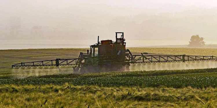 Agricoltura e utilizzo di pesticidi