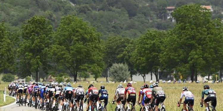 Tour de France gruppo Vuelta