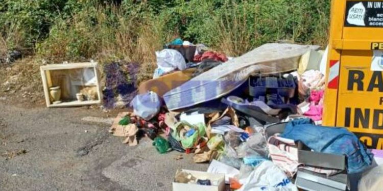 Trovata lapide di bambino a Genzano (Foto: CastelliNotizie)