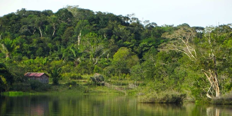 amazzonia