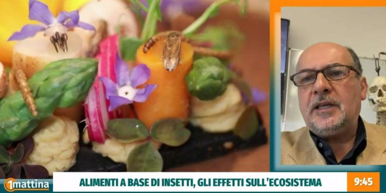 Cibo a base di insetti (Uno Mattina, Rai 1, 2022)