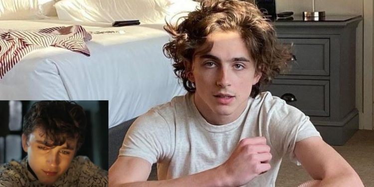 Timothée Chalamet