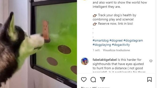 Videogioco per cani (screen da Instagram)