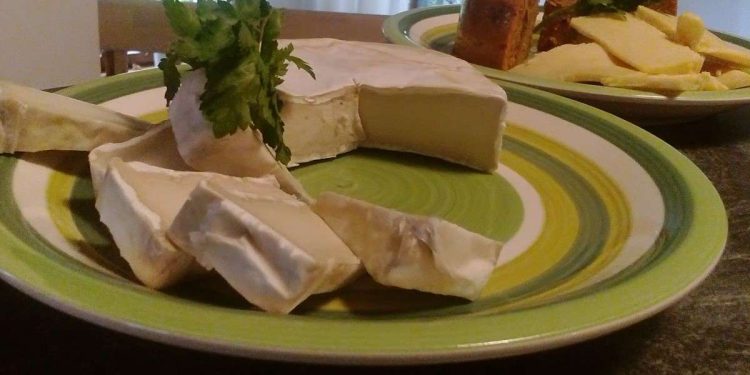 Formaggio vegano a base di anacardi e mandorle