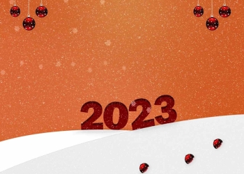 Buon anno 2023 (Pixabay)