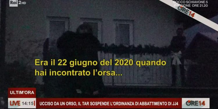 Aggredito da orso (Ore 14)