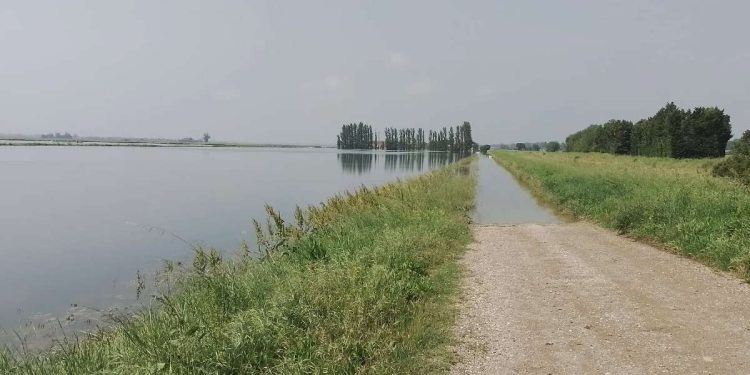 Campi allagati in Romagna (foto d'archivio)