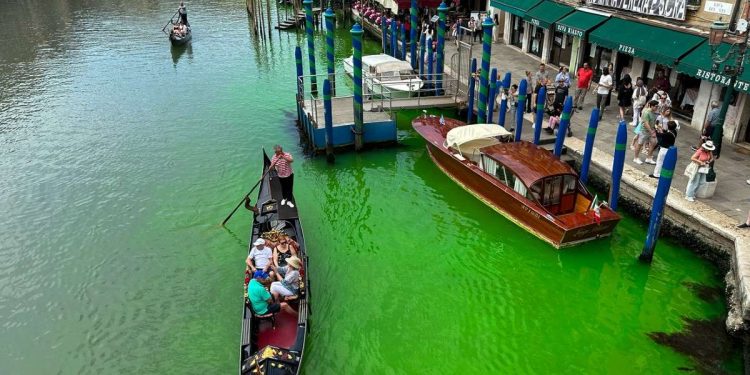 Acqua verde a Venezia (LaPresse)