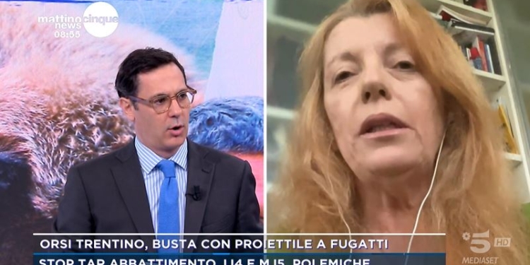 L'onorevole Brambilla a Mattino 5 News