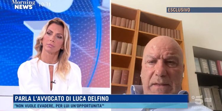 Luca Delfino, l'avvocato a Morning News