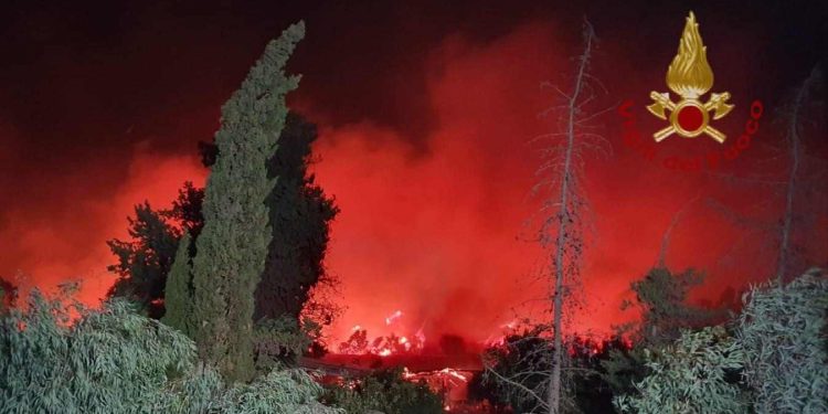 Incendio in Sardegna (foto dei Vigili del fuoco)