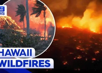 Incendio alle Hawaii (screen Youtube)