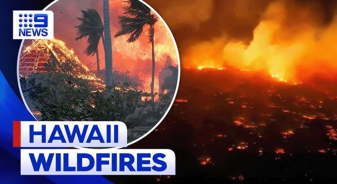 Incendio alle Hawaii (screen Youtube)