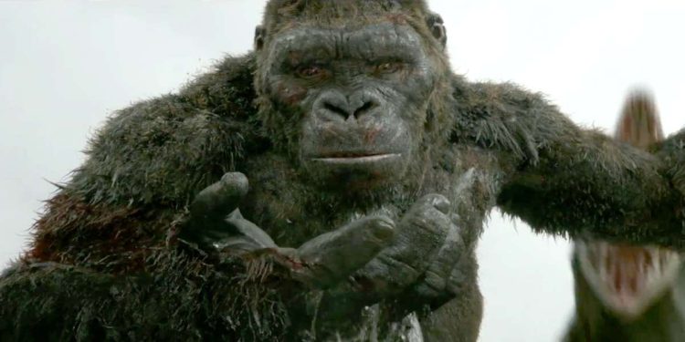 King Kong (Foto Web)