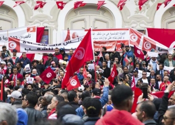 Tunisia, manifestazione pro Saied (LaPresse)