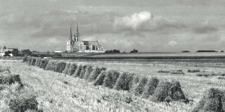 La cattedrale di Chartres (foto da "L'Arazzo di Notre-Dame", Mimep Docete)