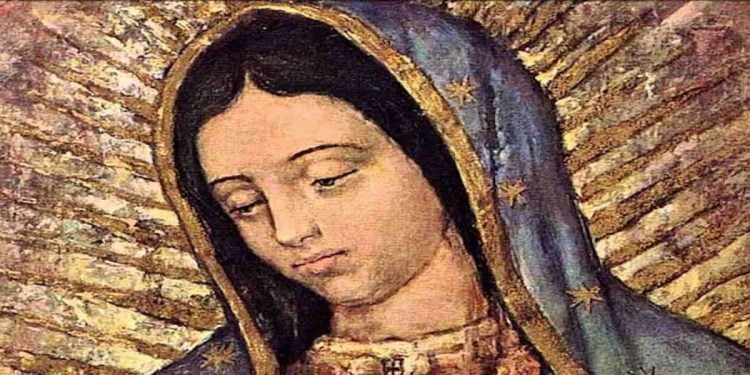 Beata Vergine Maria di Guadalupe (Foto Web)