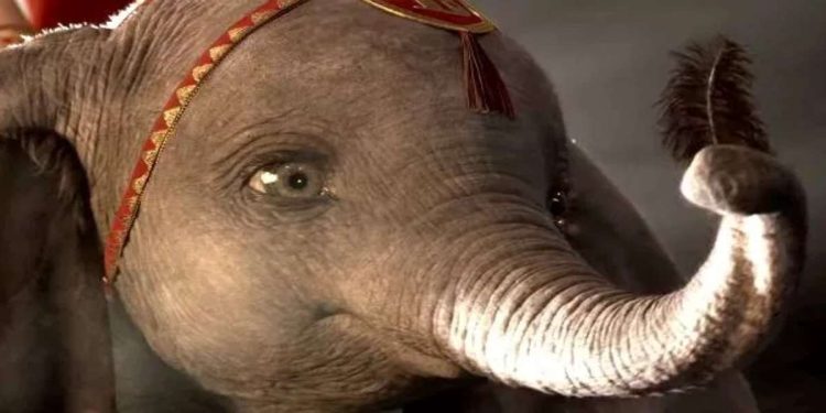 L'elefantino Dumbo, in prima serata su Rai 1 (Foto Web)