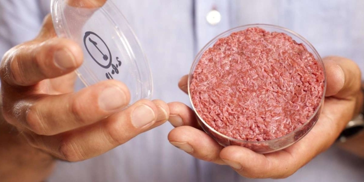 Un hamburger di carne coltivata (Ansa)