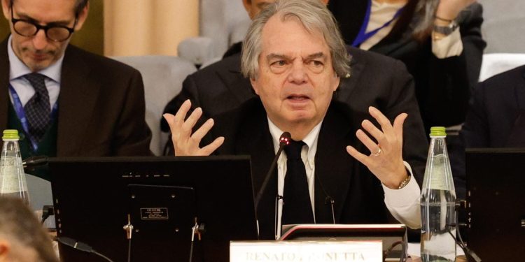 Renato Brunetta, Cnel