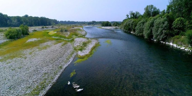 Il Parco del Ticino, screen da Youtube