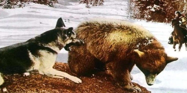 Una scena del film nel pomeriggio di Rete 4 (Foto Web)