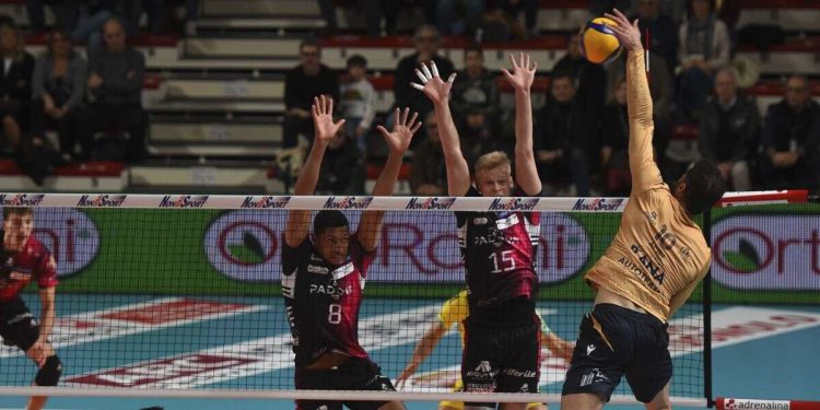 Padova volley