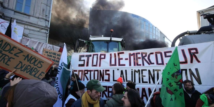 Le proteste degli agricoltori a Bruxelles (Ansa)