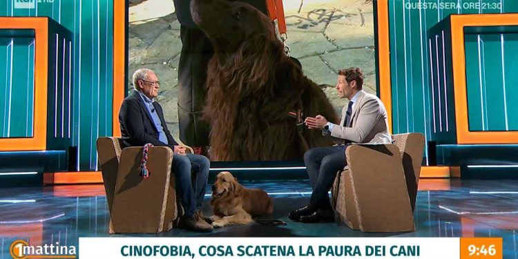 Si parla della cinofobia a Rai Uno