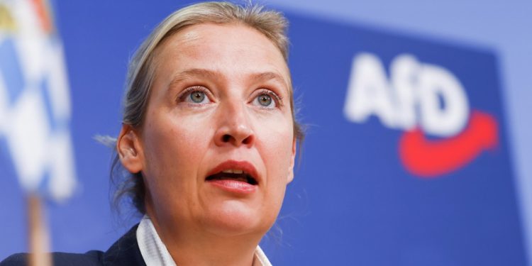 Alice Weidel, leader di Afd (Ansa)