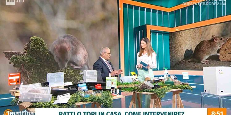 Topi e ratti, se ne parla a Uno Mattina