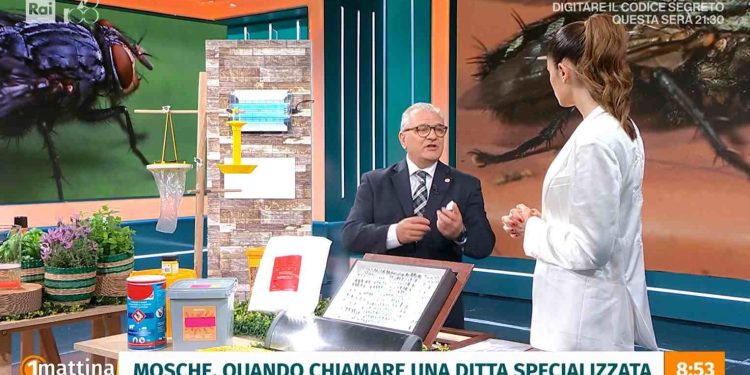 Si parla di mosche stamane a Uno Mattina