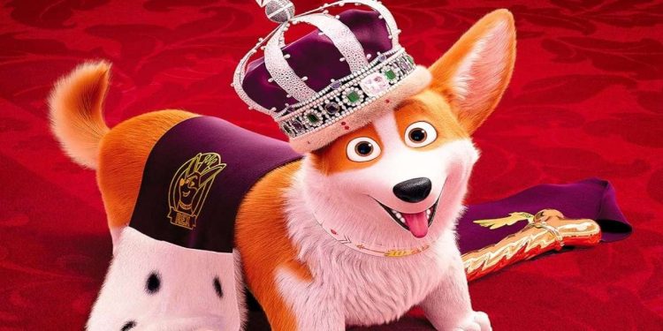 Il corgi Rex in una scena del film in seconda serata su Italia 1 (Foto Web)