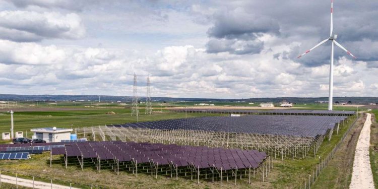 Un impianto agrivoltaico (Ansa)