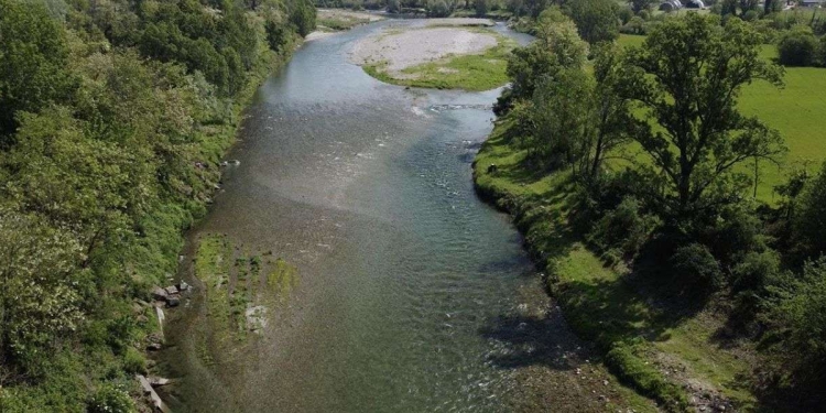 Giornata mondiale dell'ambiente