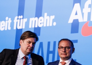 Afd Germania