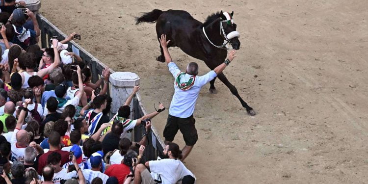 Palio di Siena 2023