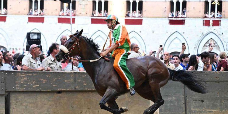 Palio di Siena