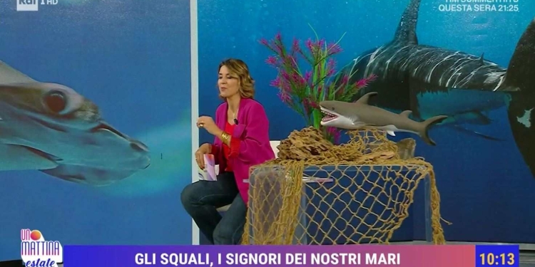 Gli squali in Italia (Uno Mattina Estate)