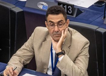 Generale Vannacci in Parlamento Ue