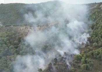 Incendio a Vieste, 24 Luglio 2024 (Foto: screenshot Youtube SkyTg24)