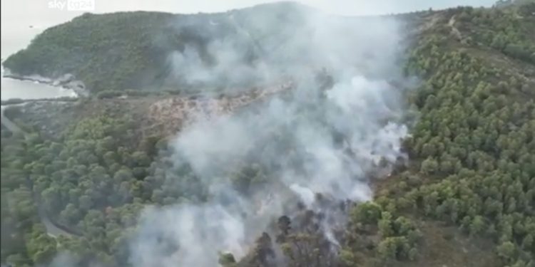 Incendio a Vieste, 24 Luglio 2024 (Foto: screenshot Youtube SkyTg24)