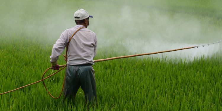 Erbicidi a base di glifosato