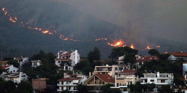 foto incendi grecia screen