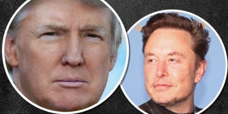 Elon Musk e Donald Trump