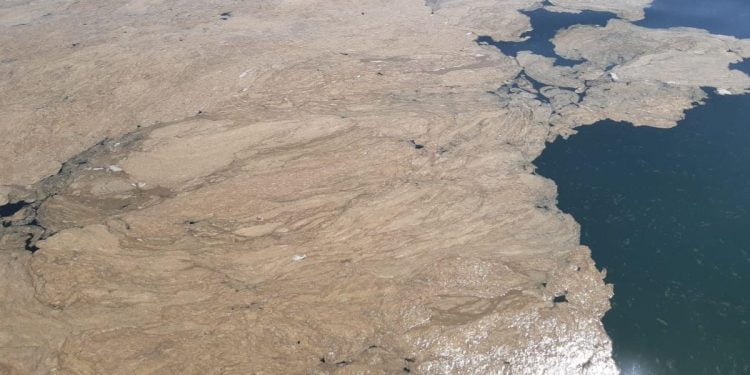 mucillagine nel mare Adriatico