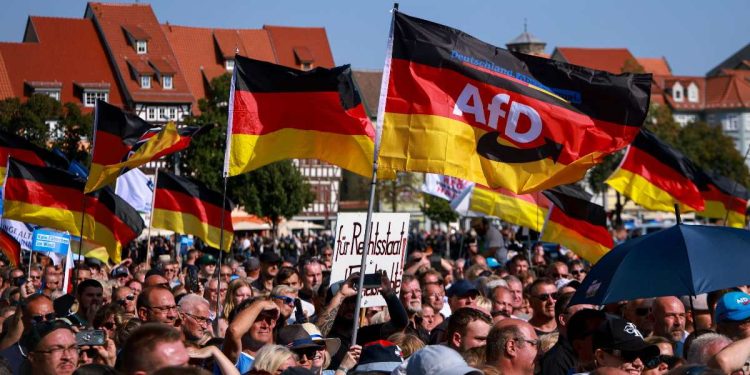 Afd, Germania