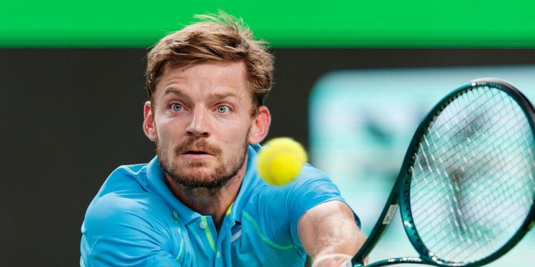 David Goffin nel torneo Atp Shanghai 2024 (Foto ANSA)