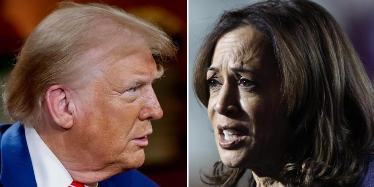 Trump vs Harris, Elezioni Usa 2024