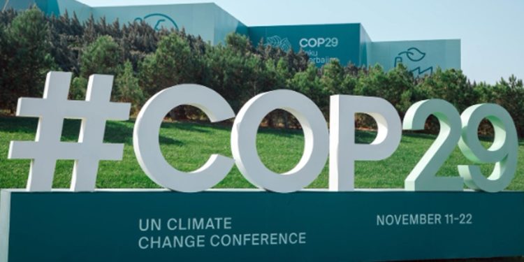 La COP29 dall'11 al 22 novembre a Baku (Ansa)